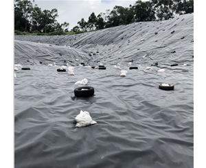 魚(yú)塘防滲膜0.5MM 單價(jià)5.5/平方